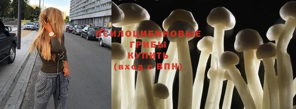 крисы Козловка
