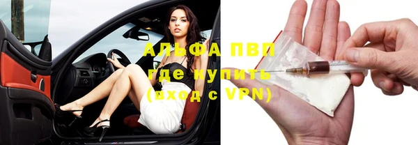 крисы Козловка