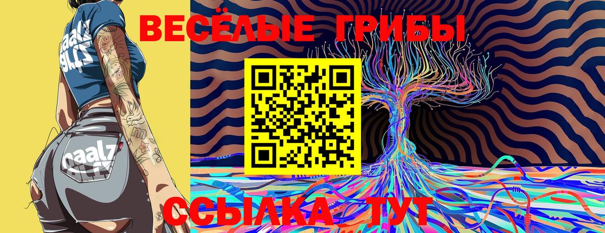 Псилоцибиновые грибы MAGIC MUSHROOMS Красный Сулин